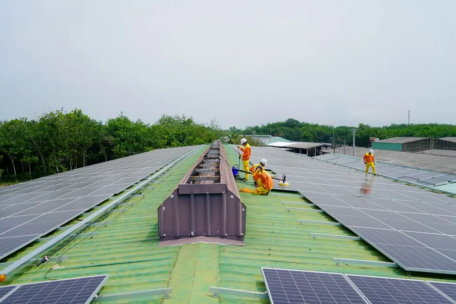 Our Expertise in Skylight Installation